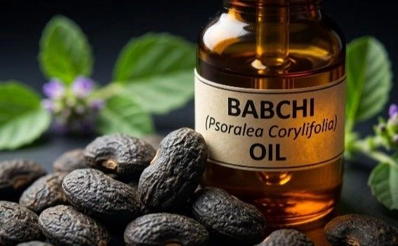 Babchi seeds (Psoralea Corylifolia) for traditional skin treatment