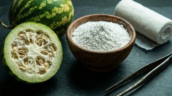 Traditional treatment for foot corn removal using Bitter Apple